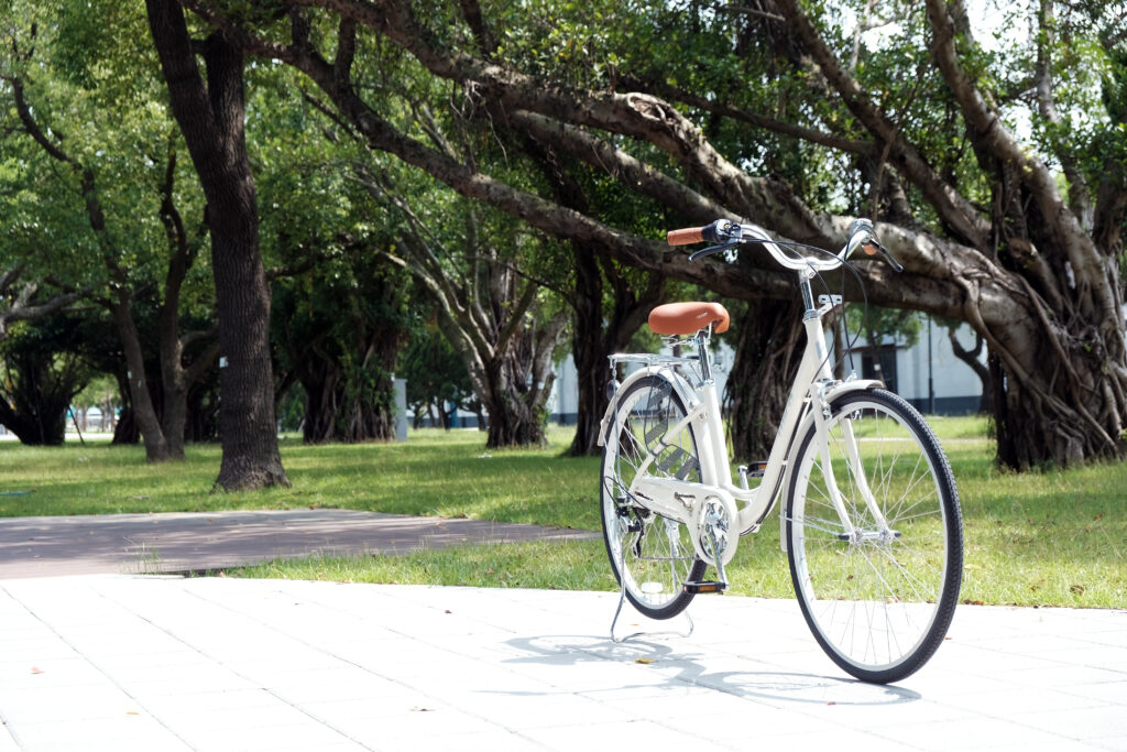 Anla 24 ladies bike from KHS, parked at the city park.